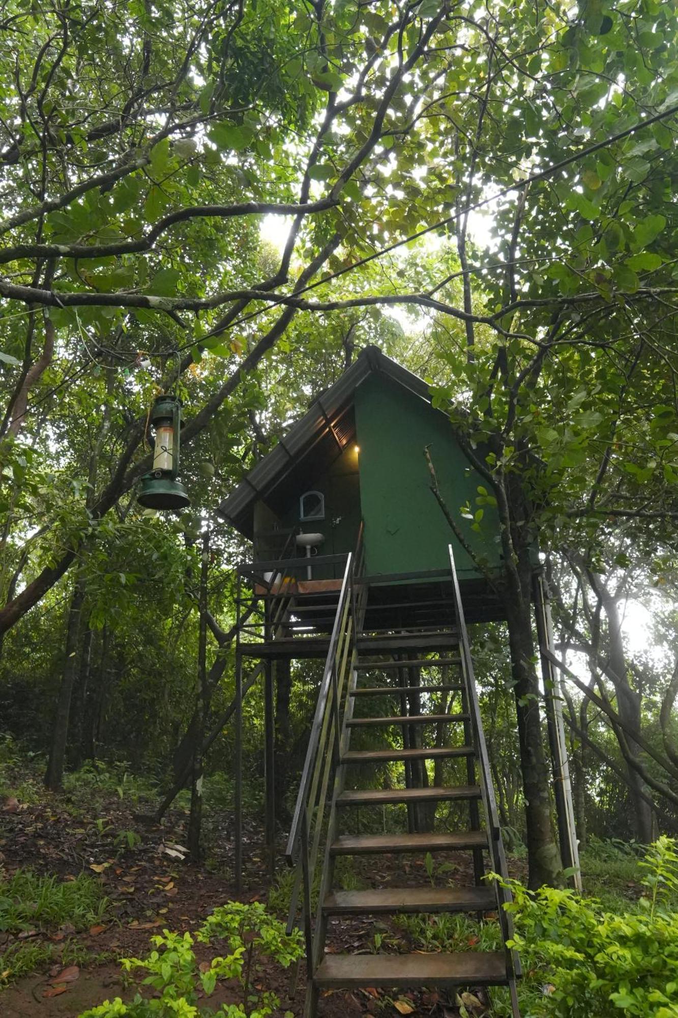 Regina Silva Camping & Nature Resort Paithalmala Bagian luar foto